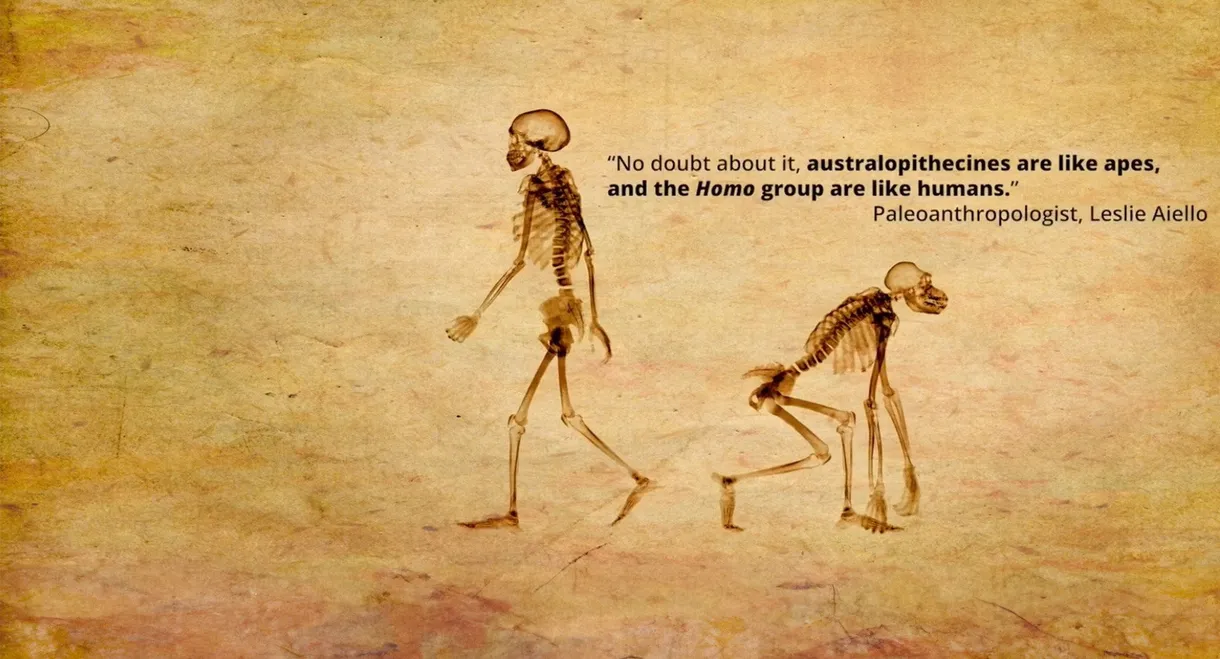 Dismantled: A Scientific Deconstruction of The Theory of Evolution