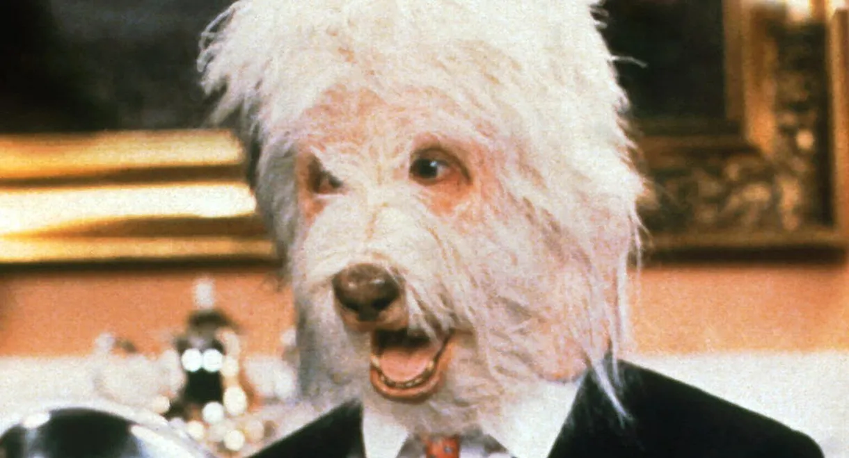 The Return of the Shaggy Dog