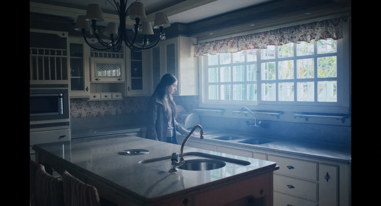 Tudo Que Já Foi Luz