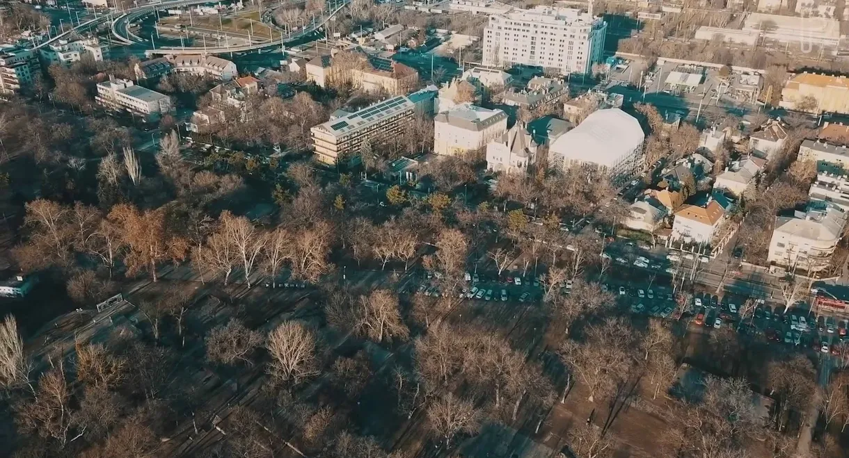 Parkmentes övezet - Városliget átalakításának története