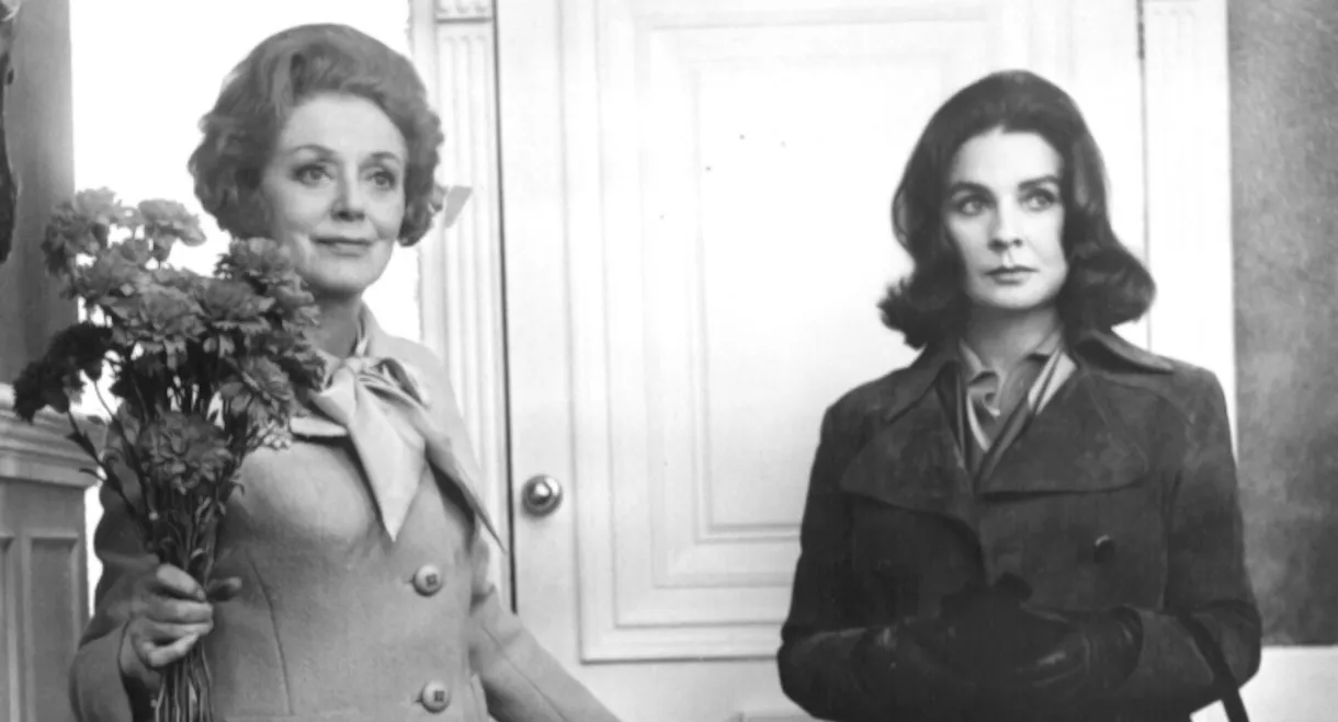 Say Hello to Yesterday