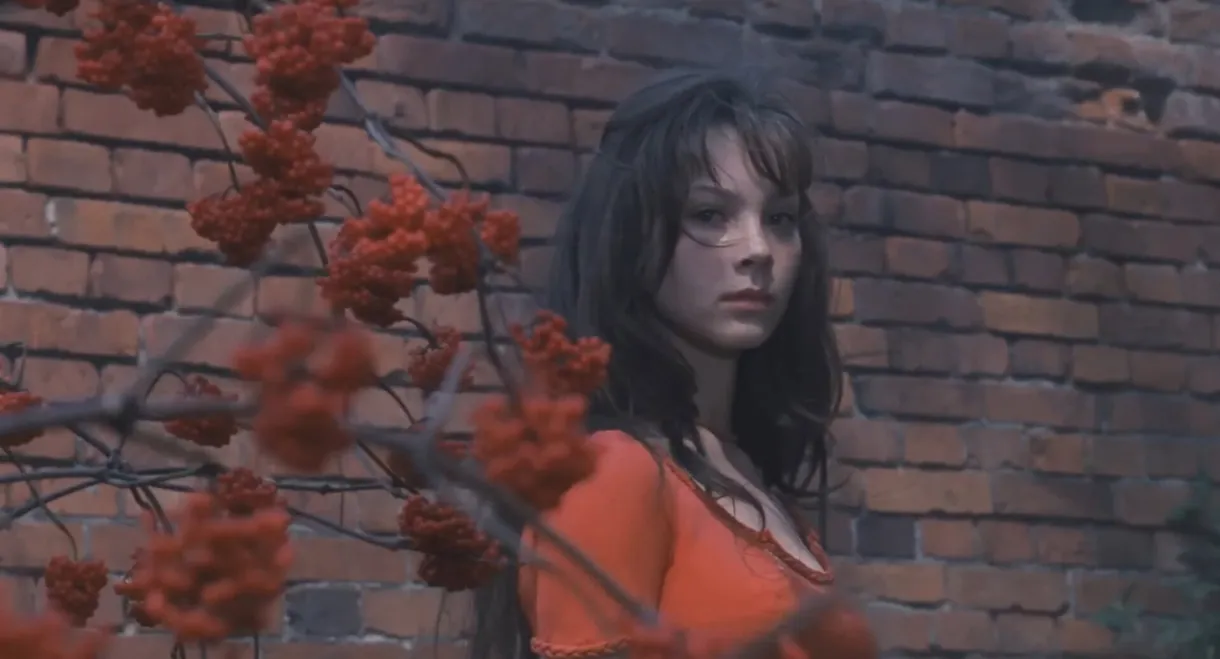 My Tender and Affectionate Beast