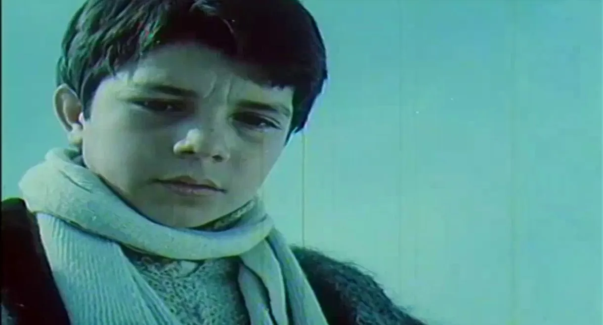 The Little Partisan Velo