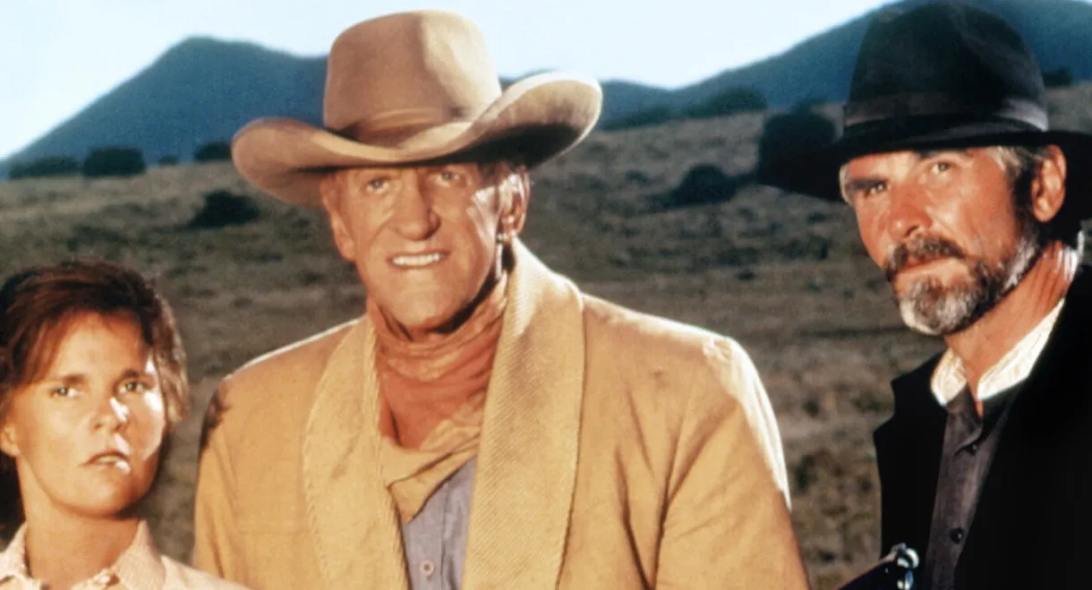 Gunsmoke: The Long Ride