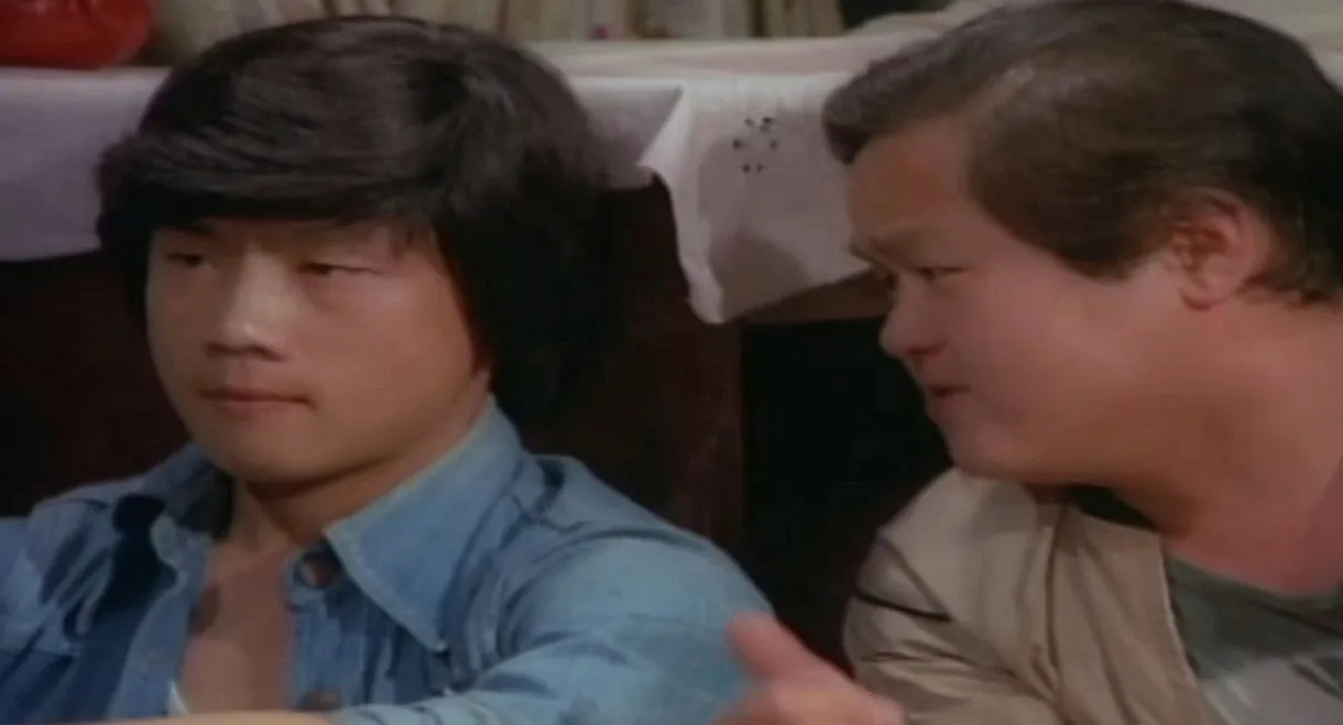 Butterfly Amongst Flowers