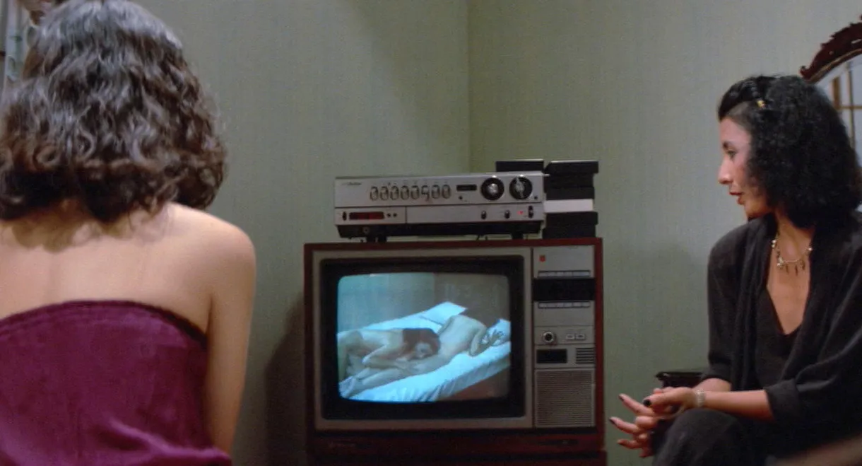 Zoom Up: Sexual Crime Report