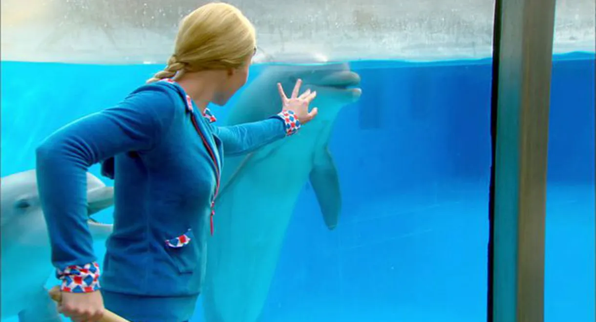 Mega Mindy: The Dolphin Robbery