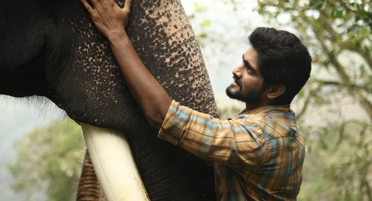 Kumki 2