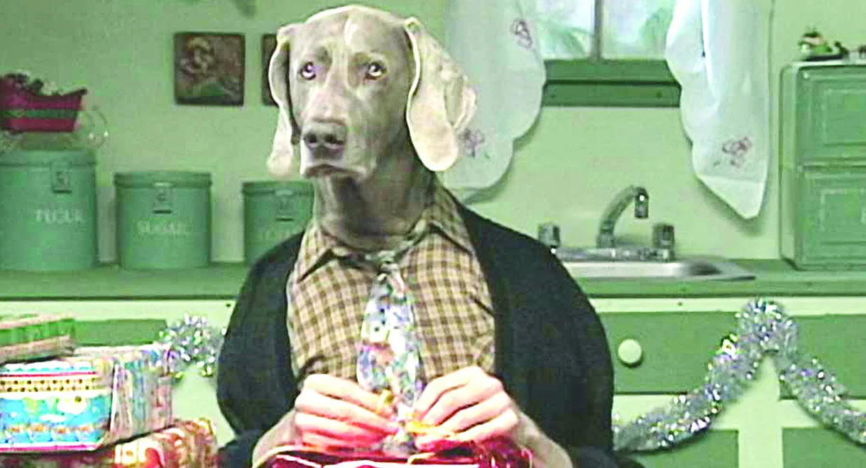 Fay's 12 Days of Christmas