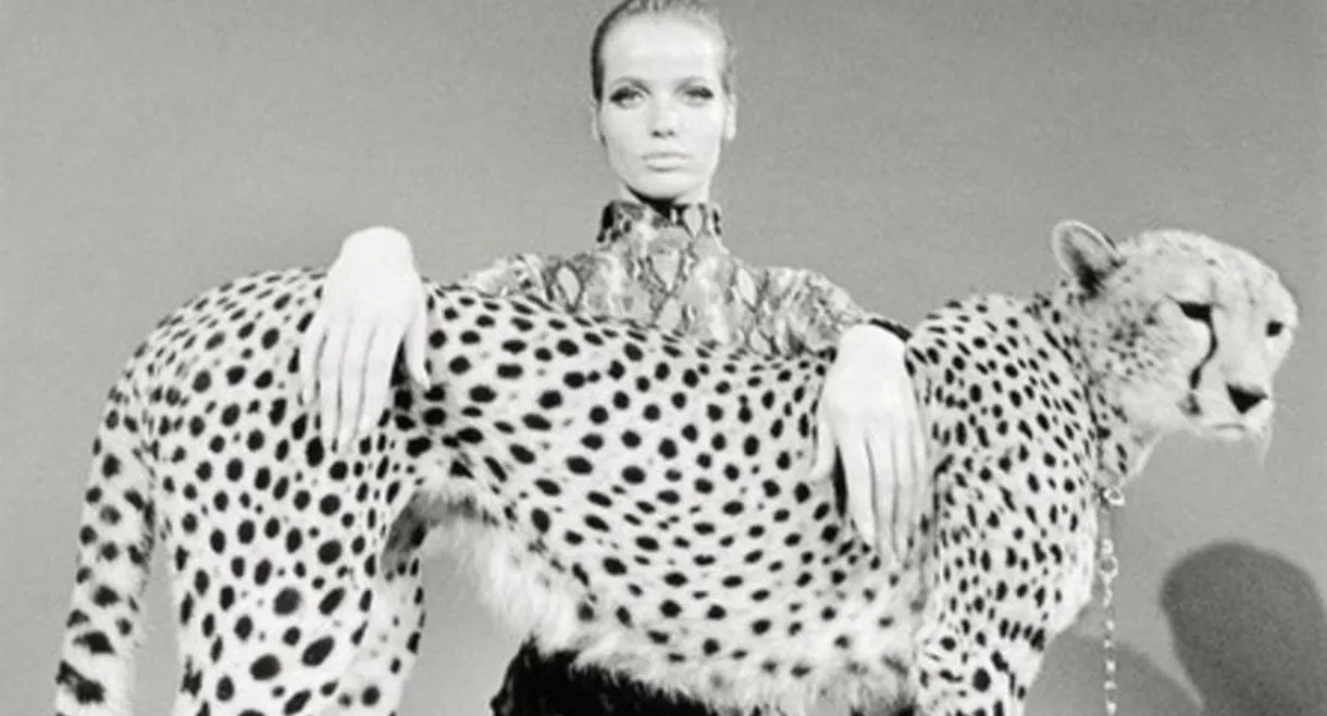 Veruschka - Poetry of a Woman