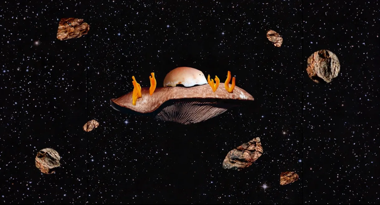 Empire fongique