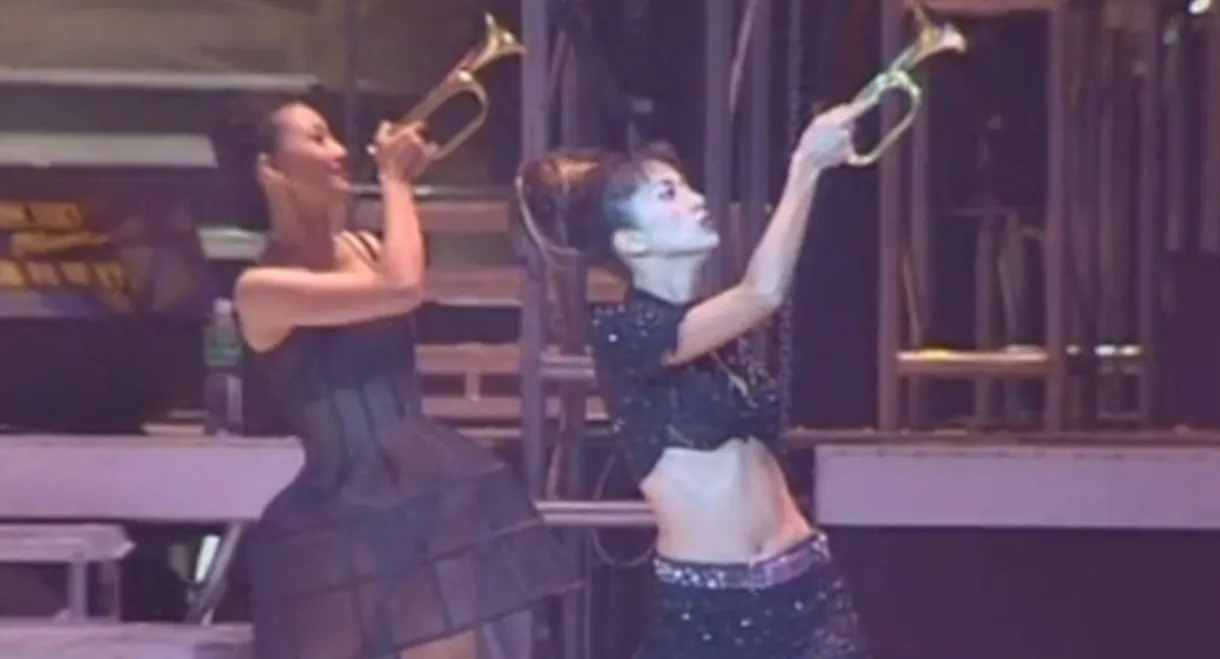 梅艳芳一个美丽的回响演唱会