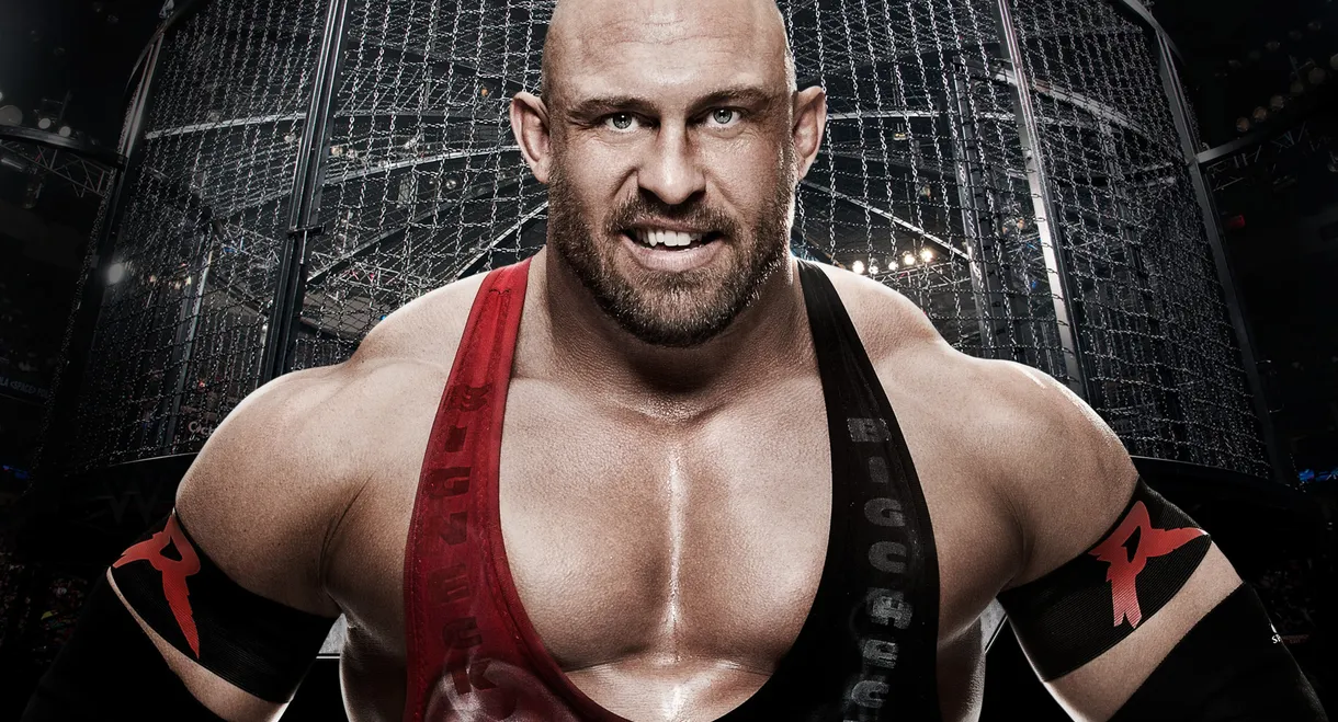 WWE Elimination Chamber 2015