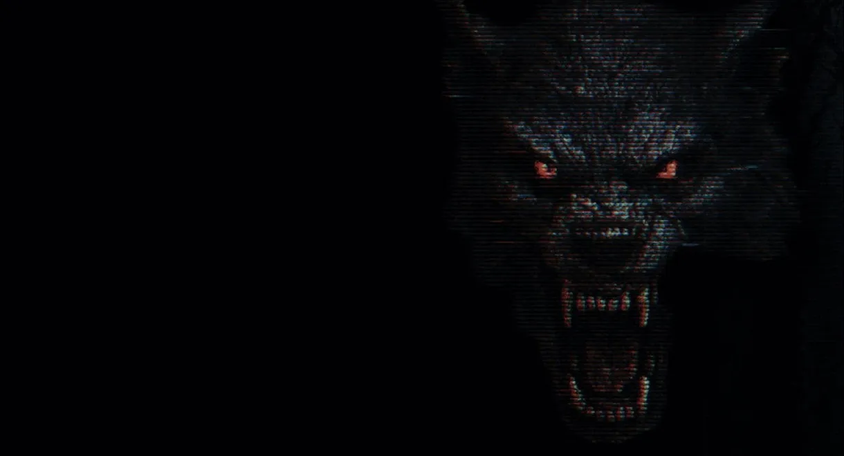 The Fairfield County Four