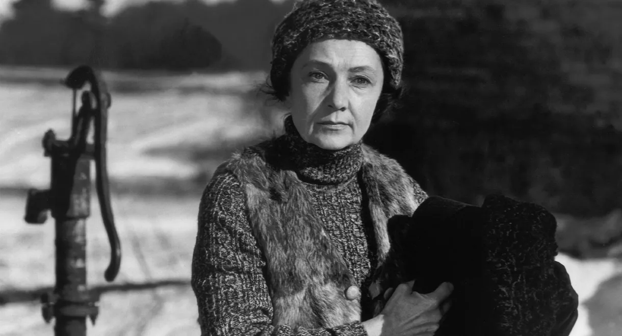 A Woman Heats the Sauna