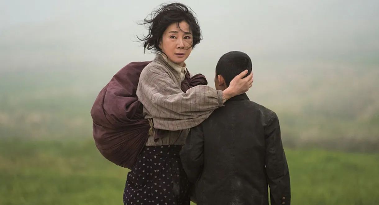 Sakura Guardian in the North