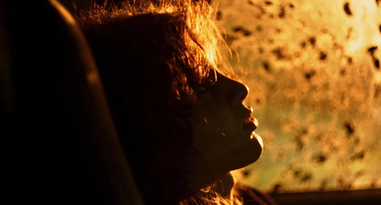 Thanks to the Hard Work of the Elephants