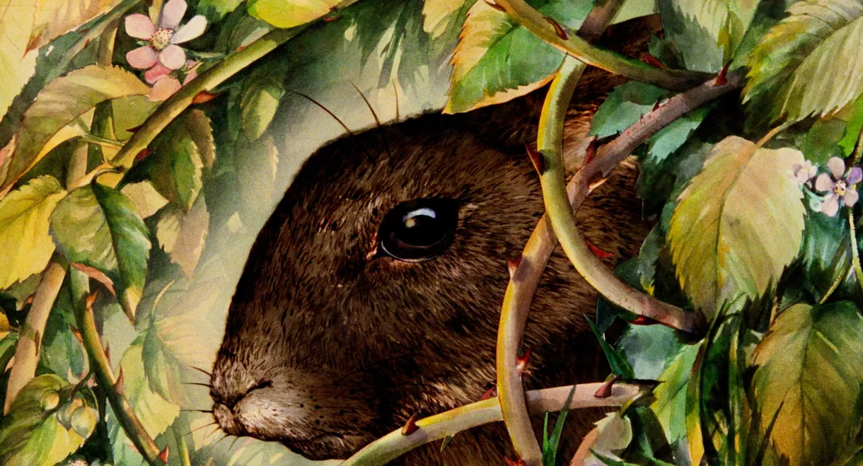 Watership Down