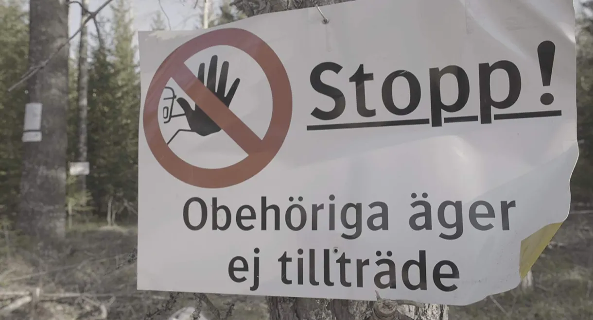 Documenting the Witch Path