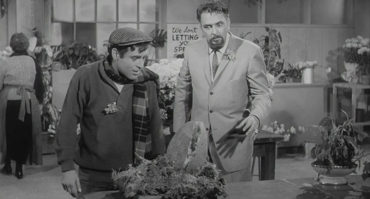 The Little Shop of Horrors