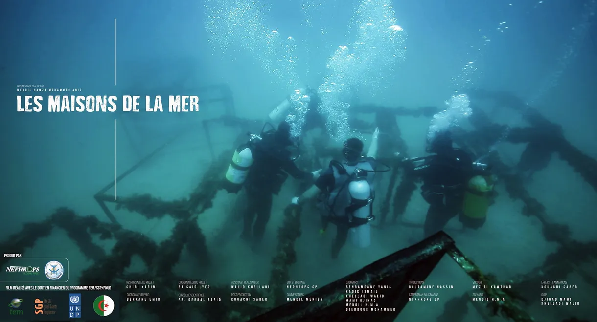 Les Maisons De La Mer