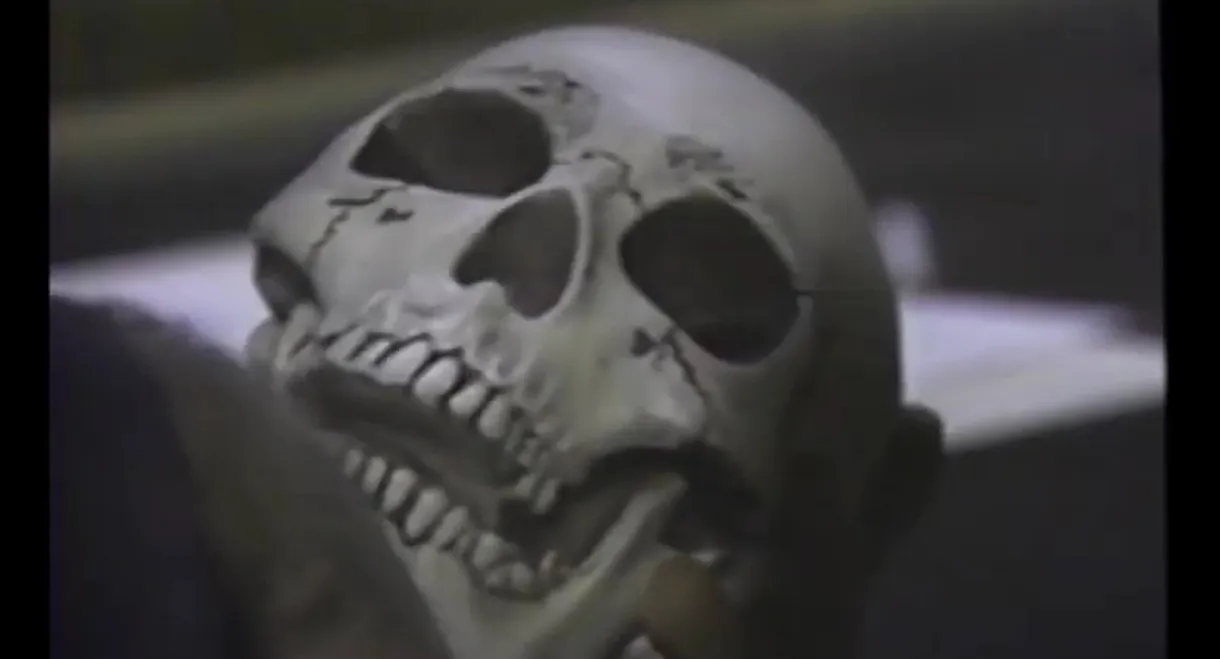 Heavy Metal Massacre