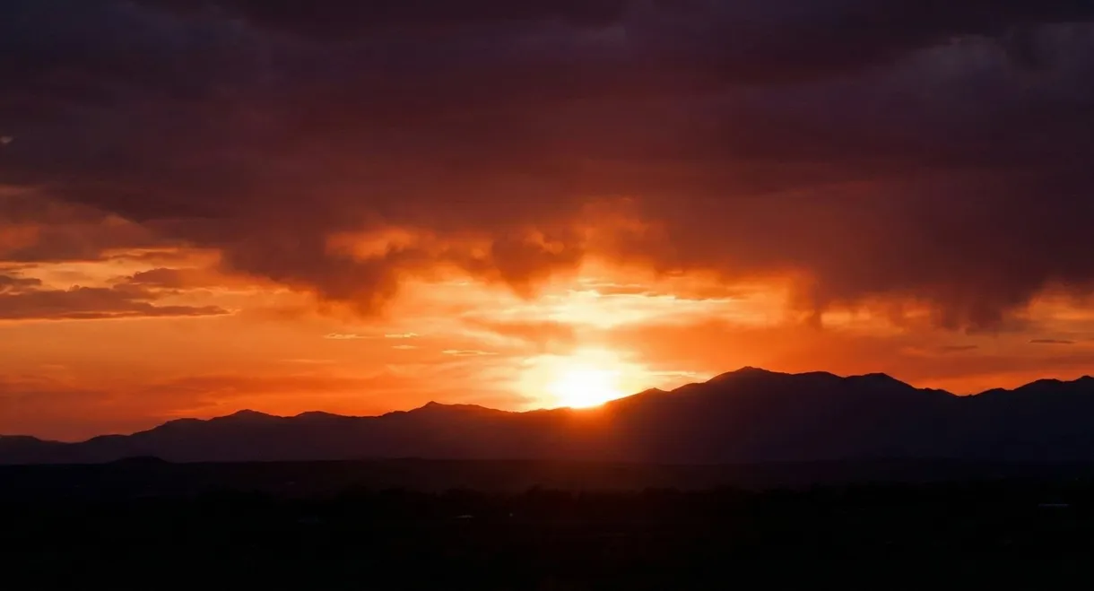 The Japanese Sword as the Soul of the Samurai