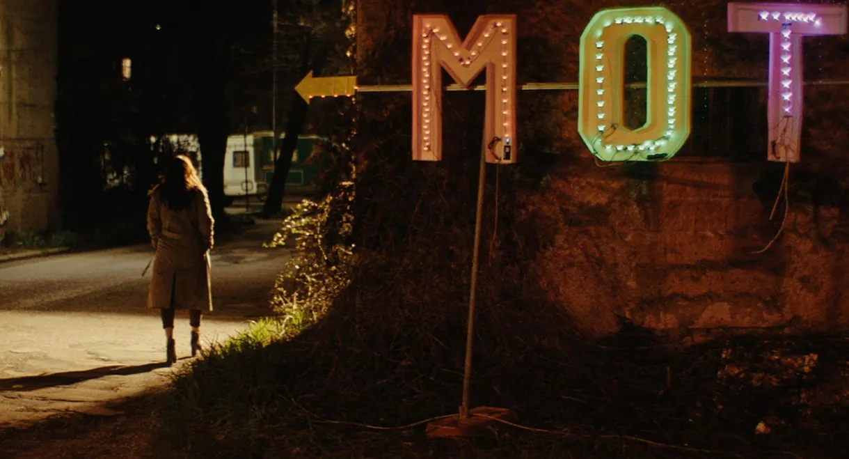 Succede in una notte