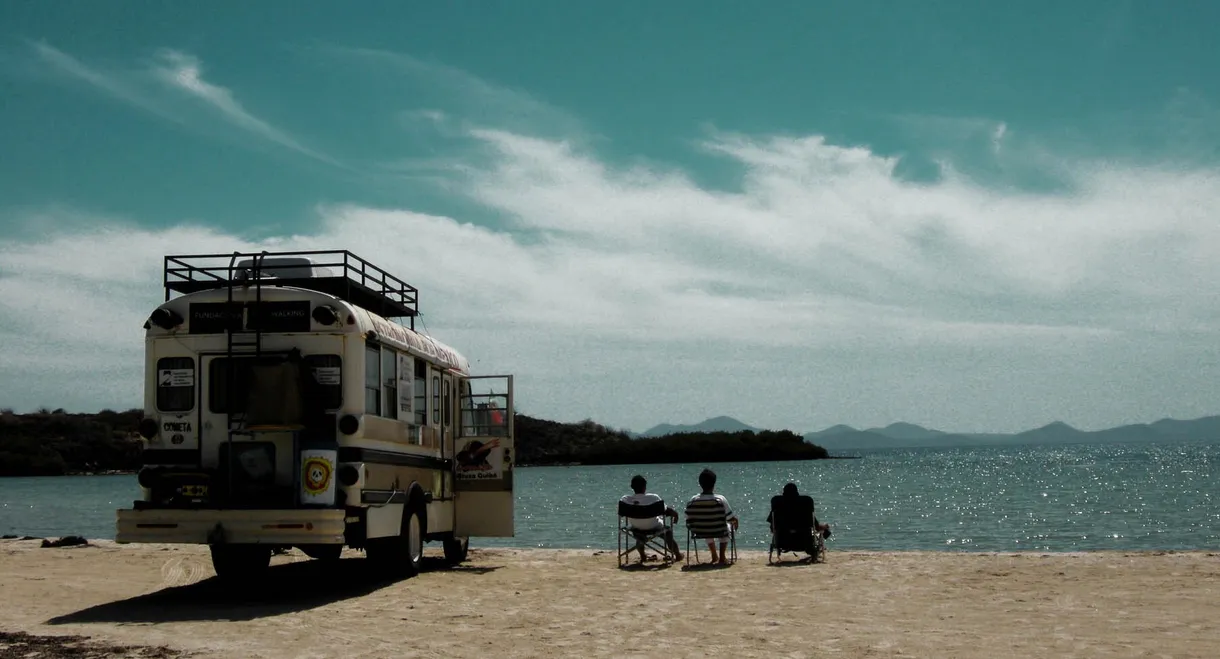 The Journey of the Comet