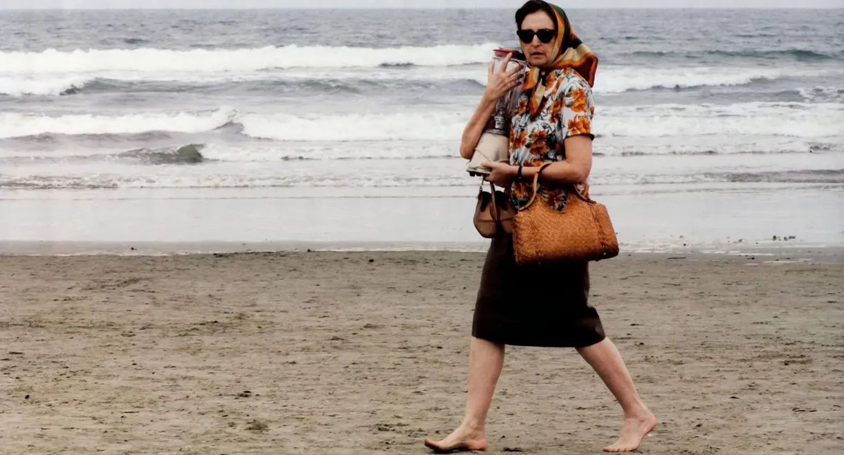 Reflections of a Blender