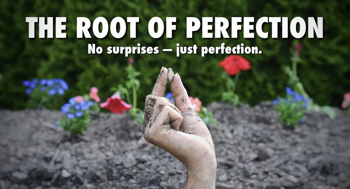 The Root of Perfection
