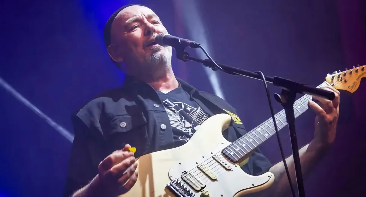 It Bites FD: Live And Natural