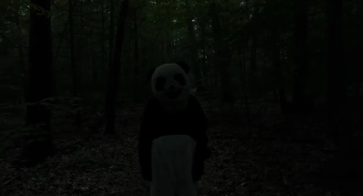 The Wild Panda