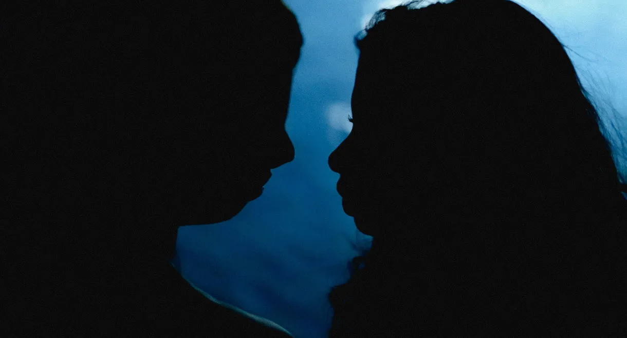 Not Gonna Bother You