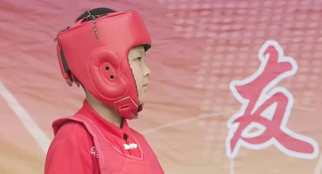 Don't Touch My Dream