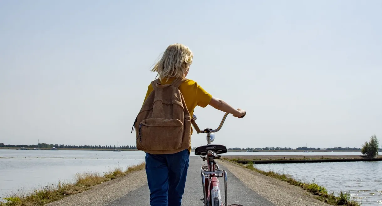 A Most Annoying Island