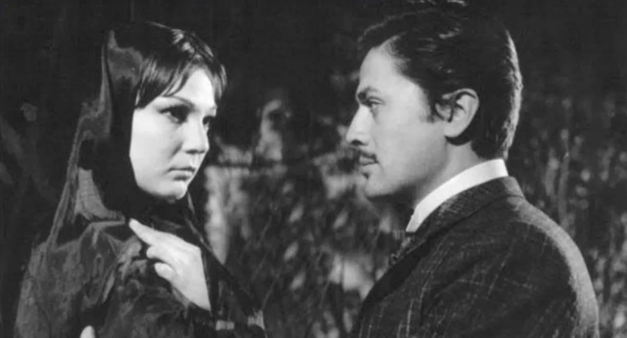 Four Women in the Harem