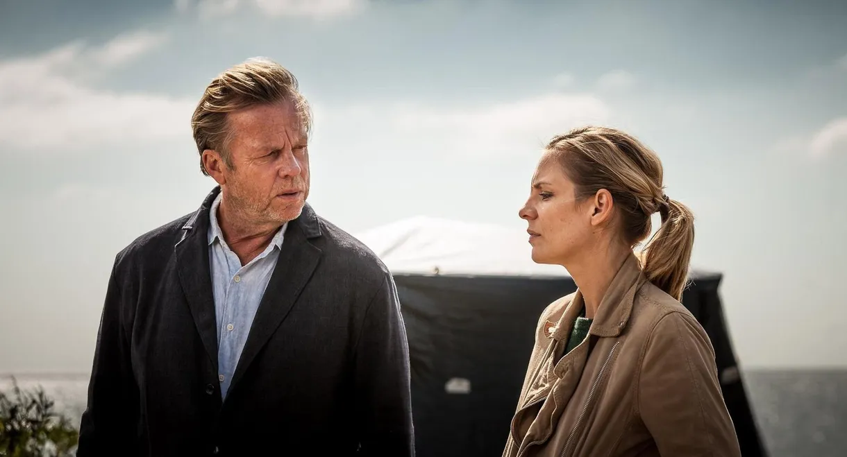 Wallander: The Courier