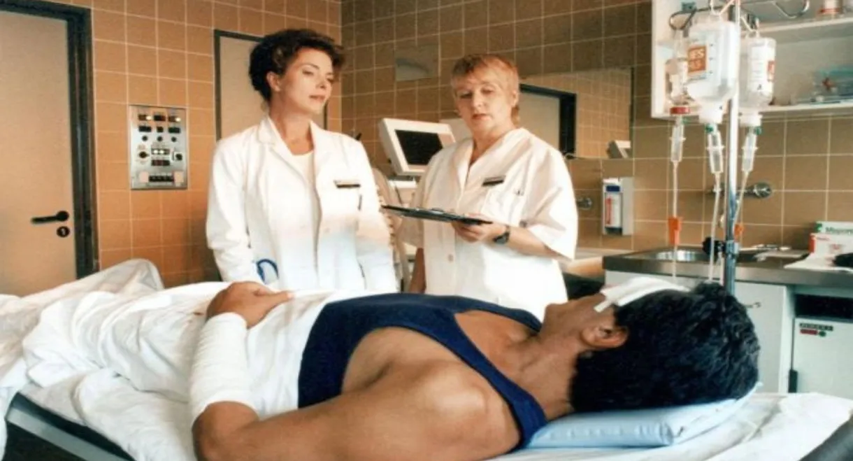 Herberge für einen Frühling