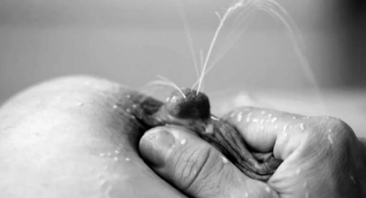 Mamíferas: el hilo de Ariadna