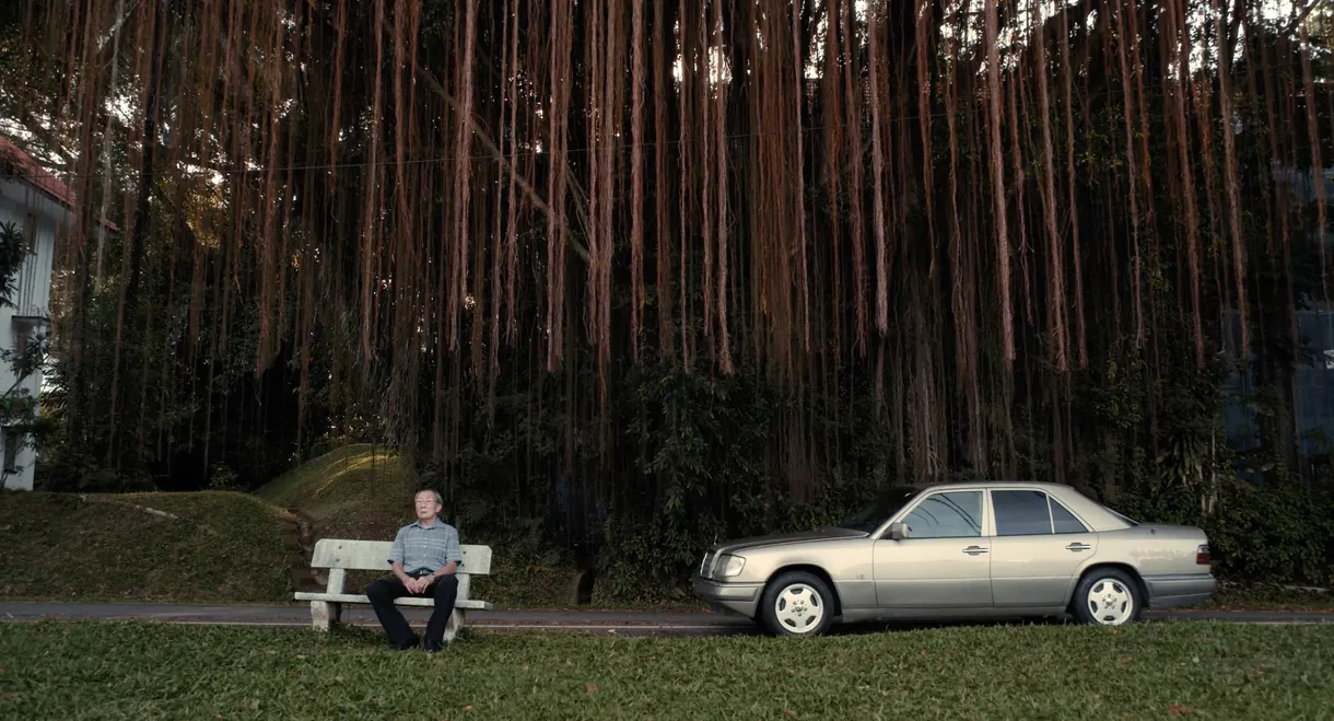 The Old Man and His Car