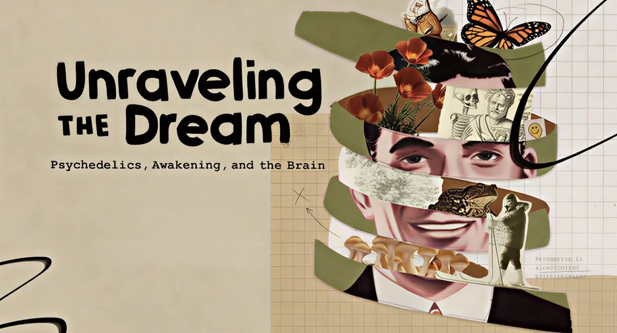 Unraveling the Dream