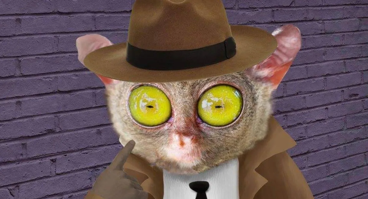 Lorenzo Delgado, Private Investigator