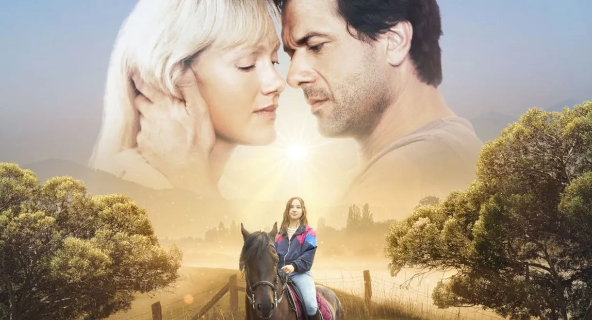 Im Schatten das Licht