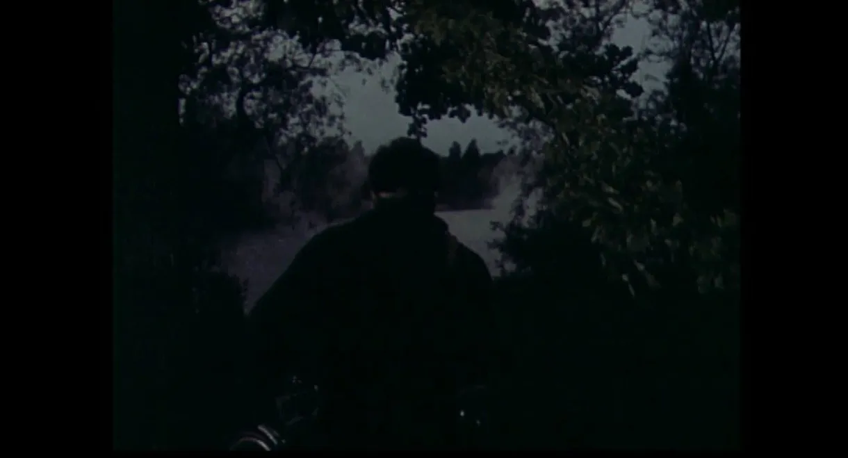 About Crazy Love, a Sniper and an Astronaut