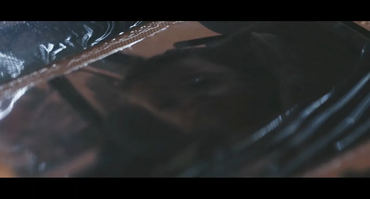 Resignified Ties : The Path of Adoption