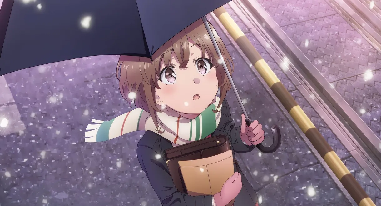 Rascal Does Not Dream of a Sister Venturing Out