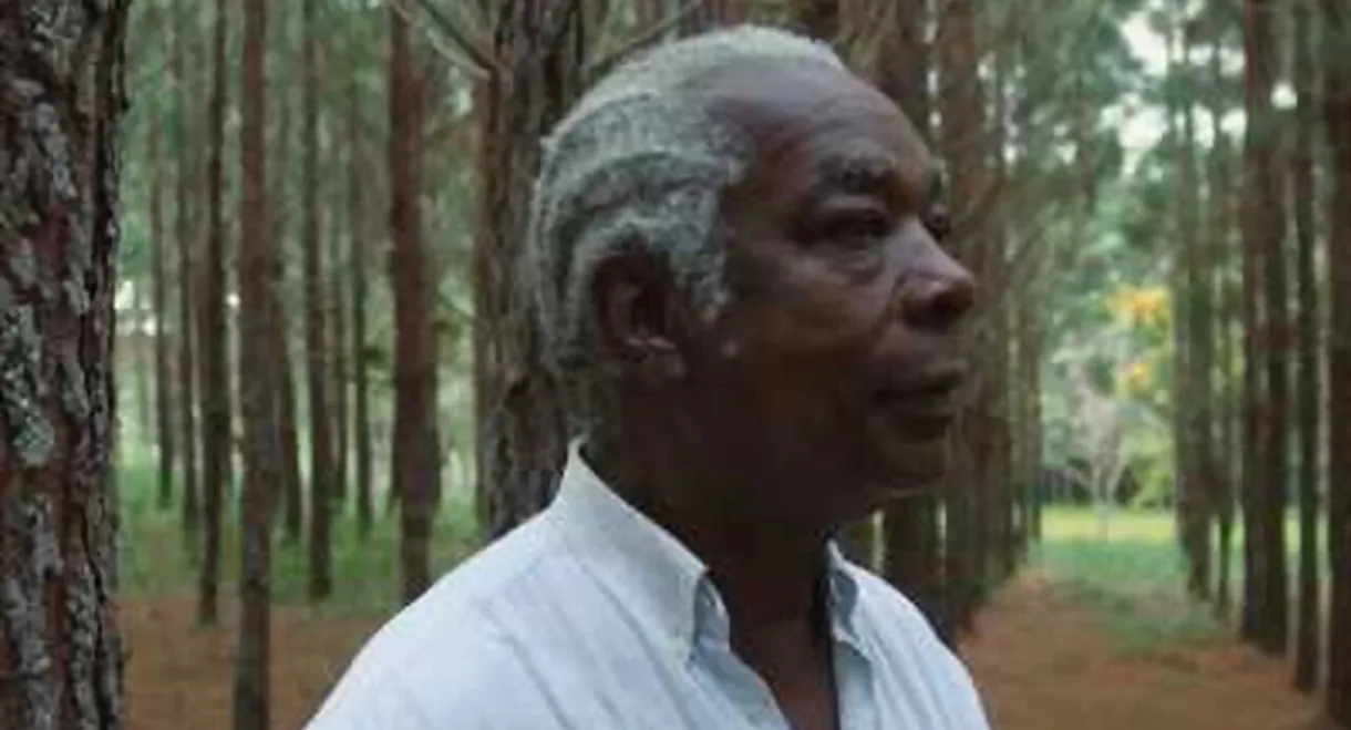 Aleluia, the Infinite Song