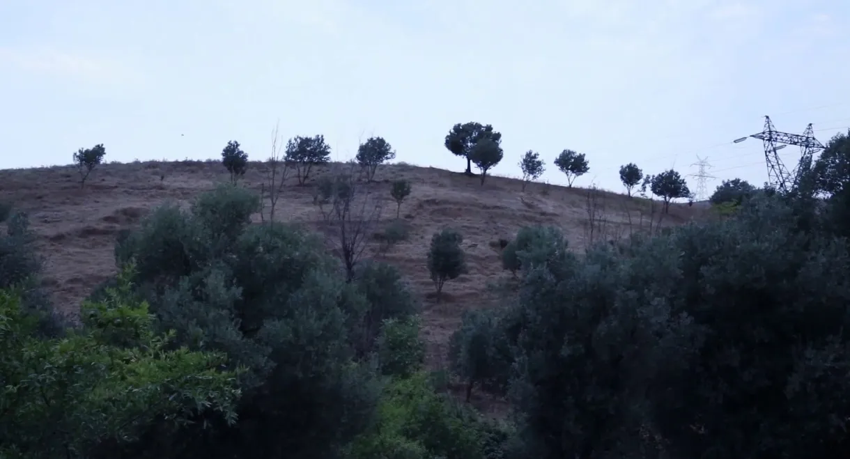 And Kiarostami Goes On