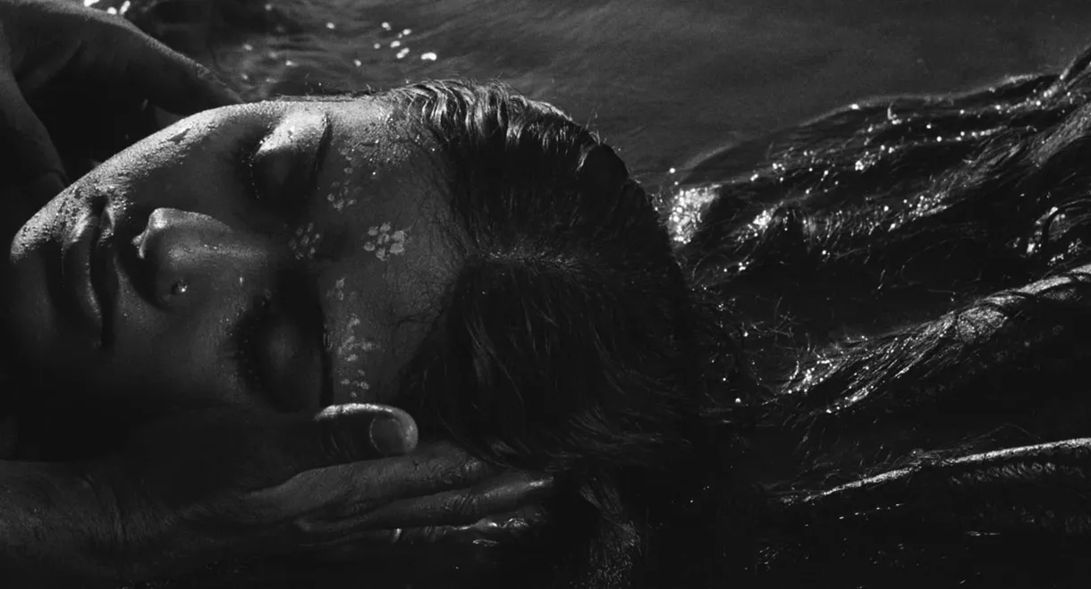 A River Called Titas